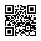 QR CODE 161
