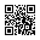QR CODE 198