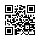 QR CODE 217