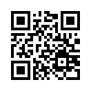 QR CODE 228