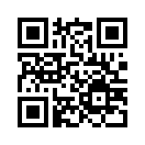 QR CODE 55