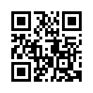 QR CODE 85