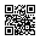 QR CODE 305