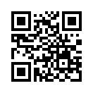 QR CODE 31