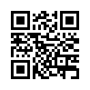 QR CODE 42