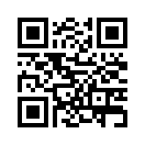 QR CODE 53
