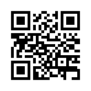 QR CODE 61