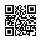 QR CODE 81