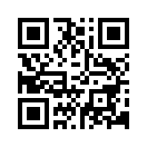 QR CODE 767