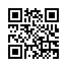 QR CODE 813