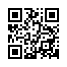 QR CODE 856
