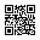 QR CODE 133