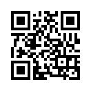 QR CODE 31