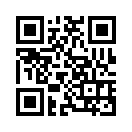 QR CODE 53
