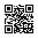 QR CODE 228