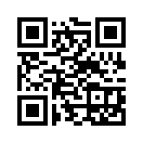 QR CODE 316