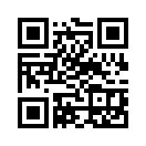 QR CODE 329