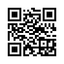 QR CODE 333