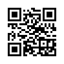 QR CODE 361