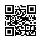 QR CODE 366