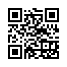 QR CODE 390