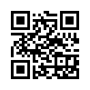 QR CODE 394