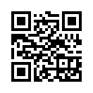 QR CODE 397