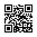 QR CODE 401