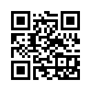 QR CODE 411