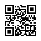 QR CODE 413