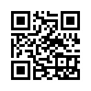 QR CODE 425