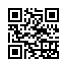 QR CODE 441