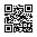 QR CODE 461