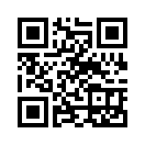 QR CODE 483