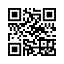 QR CODE 486