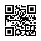 QR CODE 489