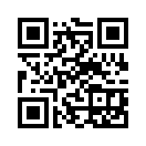 QR CODE 494