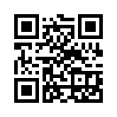 QR CODE 499