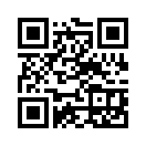 QR CODE 511
