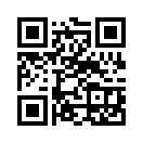 QR CODE 521
