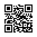 QR CODE 529