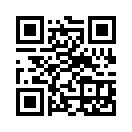QR CODE 533