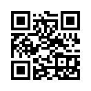 QR CODE 538