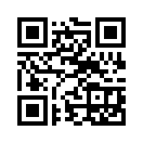 QR CODE 543