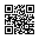 QR CODE 110