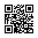 QR CODE 133