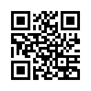 QR CODE 228