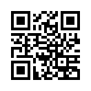 QR CODE 305