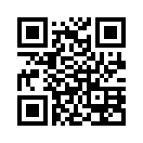 QR CODE 31