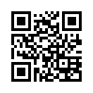 QR CODE 53